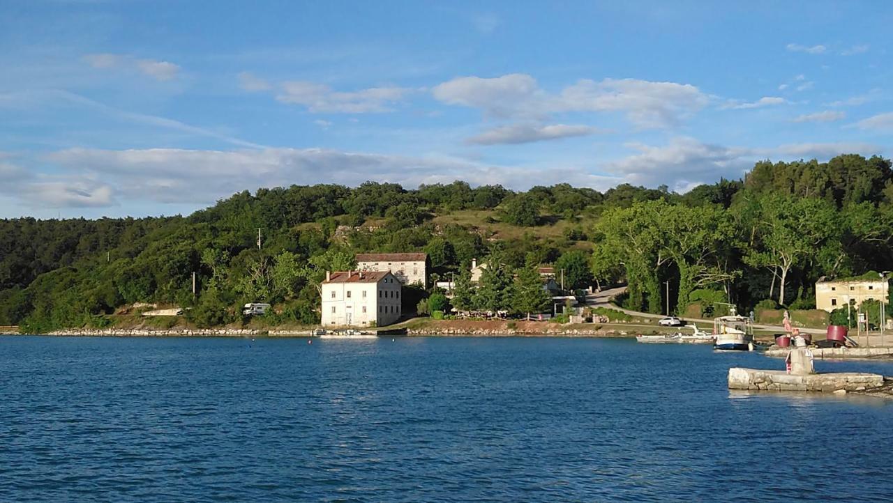Apartman Dino Tar-Vabriga Εξωτερικό φωτογραφία